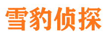 琼山市场调查